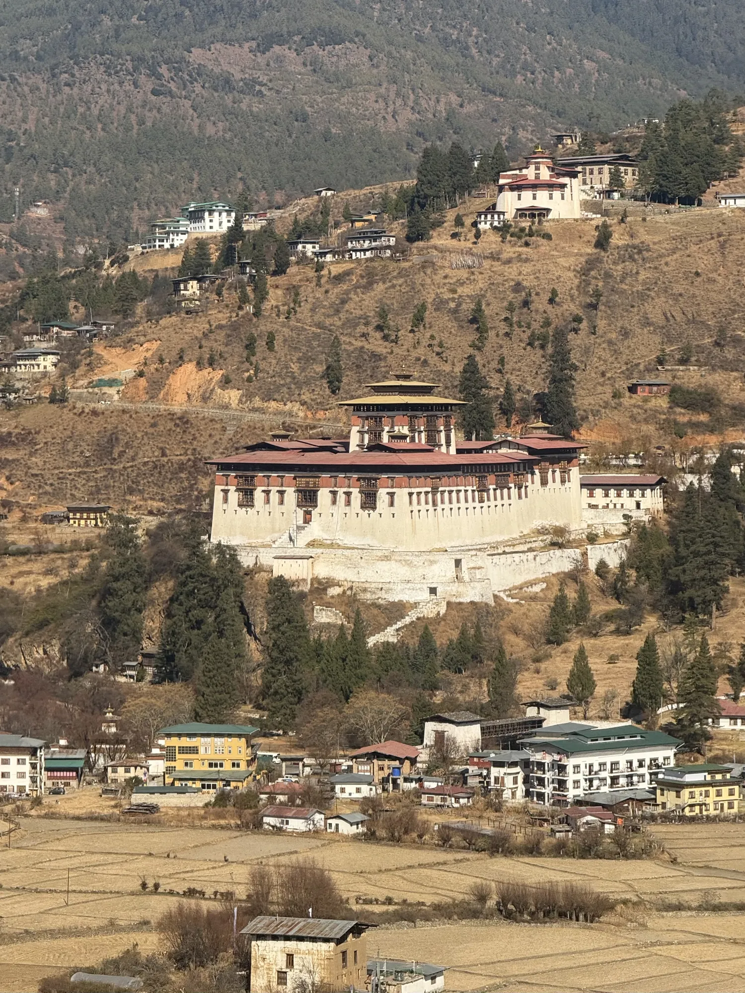 Paro Dzong above the Paro valley